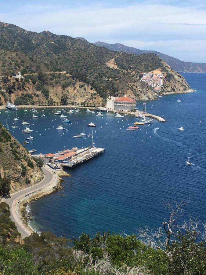 The Avalon Hotel In Catalina Island Exterior photo