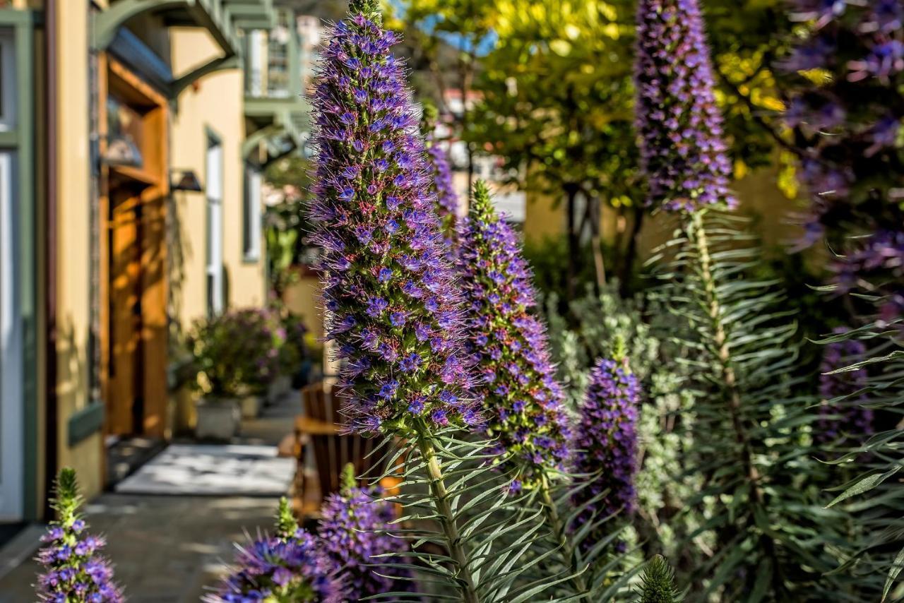 The Avalon Hotel In Catalina Island Exterior photo